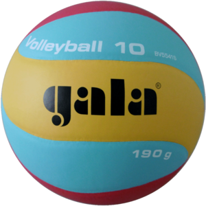 Gala V180 BV 5541S Indoor Jeugd volleybal