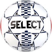 Derbystarkeepershandschoen Goalie V22 2515