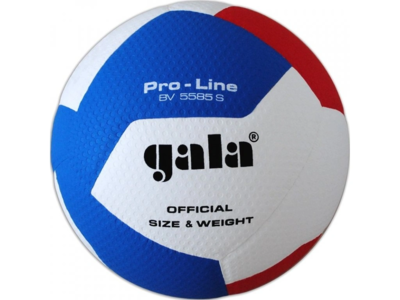 Gala Volleybal Proline BV 5585S10