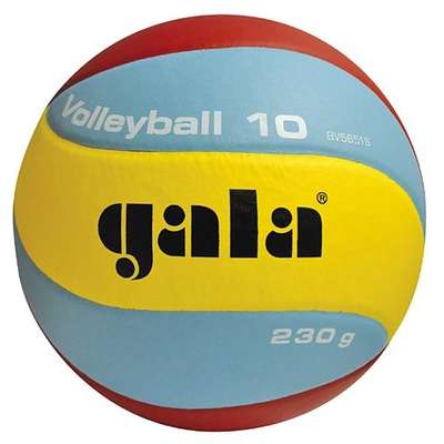 Gala V230 BV 5651S indoor Jeugd volleybal