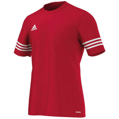 Adidas Trikot Entrada 14