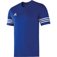Adidas Trikot Entrada 14
