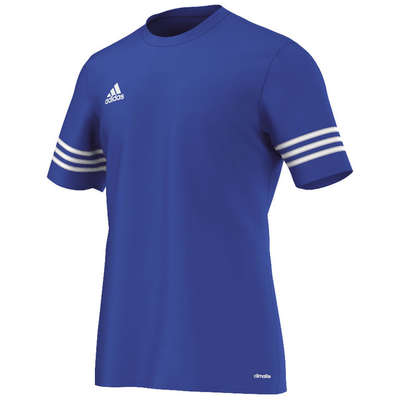 Adidas Trikot Entrada 14
