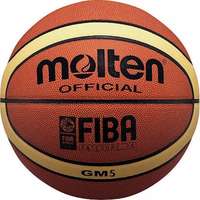 Molten Basketbal GM5 