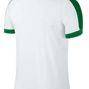 Nike Striker IV Trikot