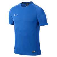 Nike Squad 15 Flash Training Top Blau