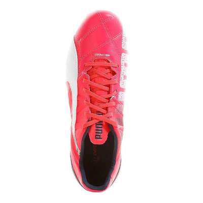 Puma evoSpeed 3.3 FG Rot