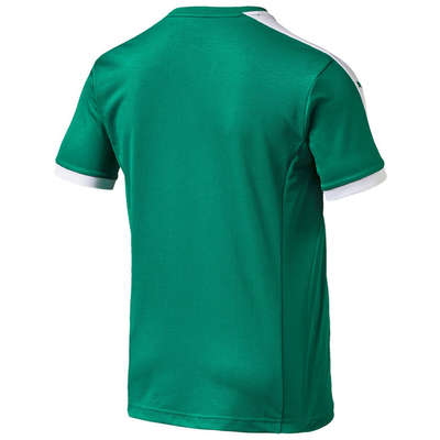 Puma Pitch Shortsleeved Shirt