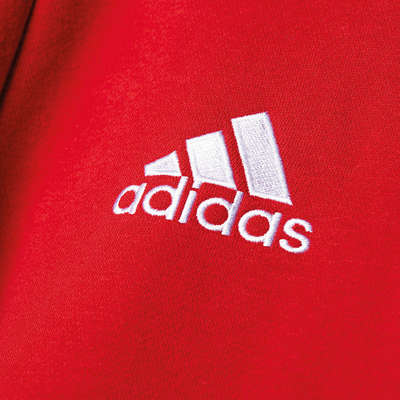 Adidas Core 15 Hoody