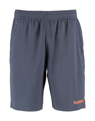 Hummel SHORTS / BERMUDA Auth. charge training shorts