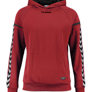 Hummel SWEATSHIRT Auth. charge poly hoodie