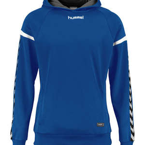 Hummel SWEATSHIRT Auth. charge poly hoodie