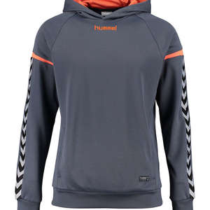 Hummel SWEATSHIRT Auth. charge poly hoodie