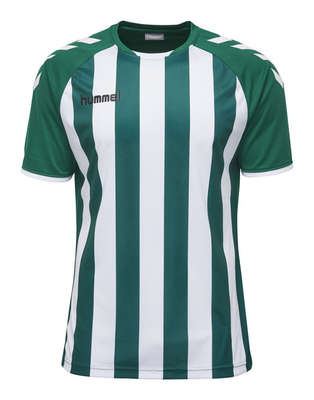 Hummel JERSEY 1/2 Core striped ss jersey