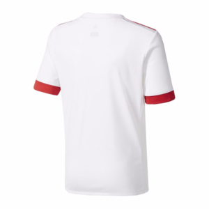 FC Bayern UCL Trikot 17/18