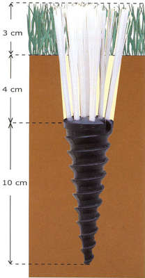 Cawila - 00621220