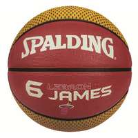 Spalding Basketbal Lebron James NBA Miami Heat