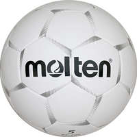 Molten PF-160SLV5