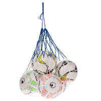 Ballennet voor 12 ballen