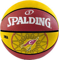 Spalding Basketbal Team cavaliers